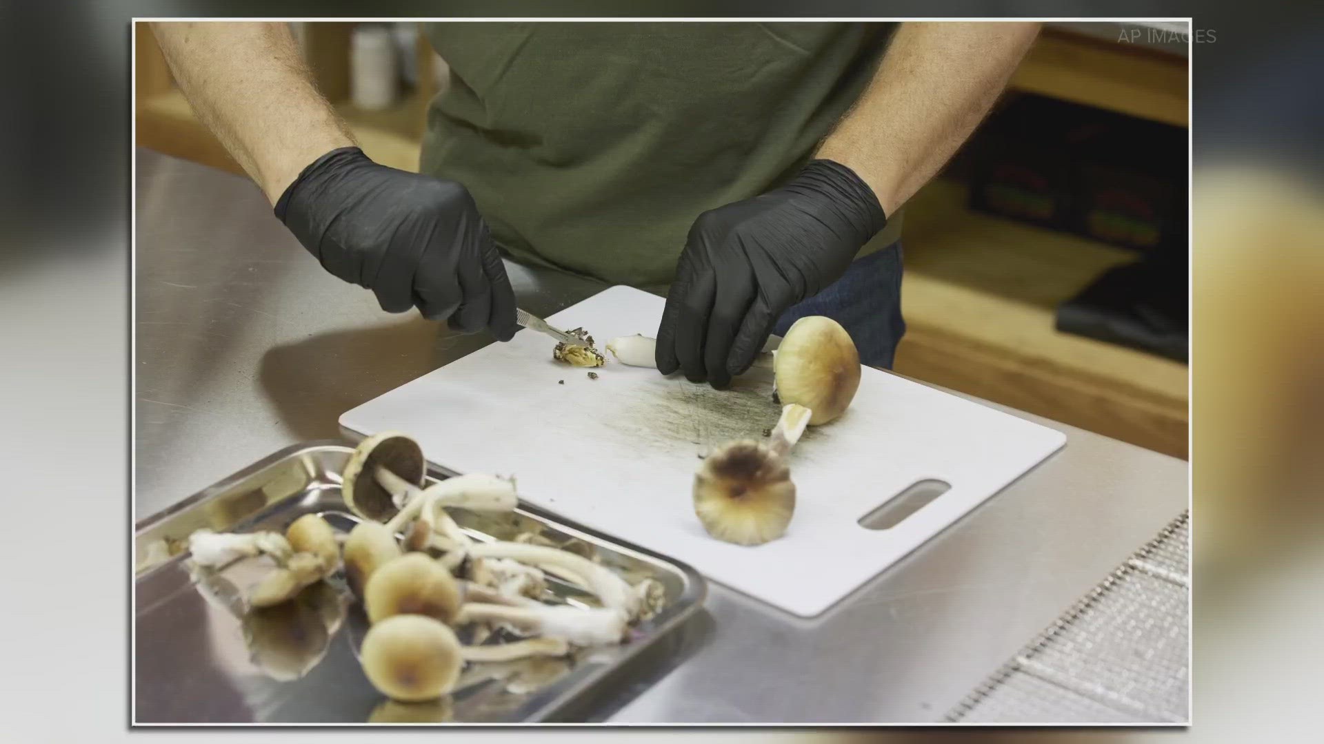 Lawmakers are working to decide whether or not to invest $42 million into research for ibogaine, a natural psychoactive compound in mushrooms.