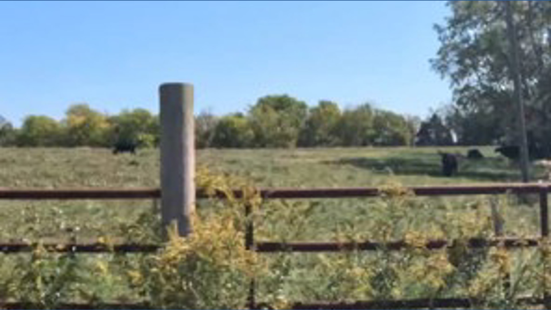 Grow Solving Examples Creative problem solving on display at Capstone Farms | whas11.com