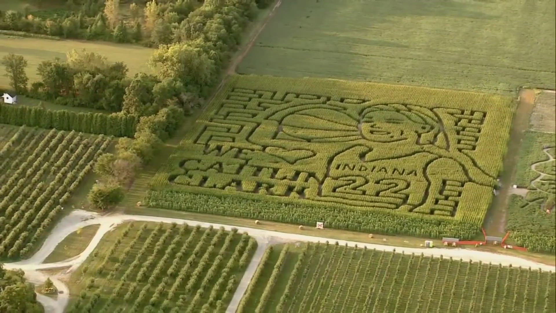 The orchard in Hobart, Indiana designed this year's corn maze to resemble Indiana Fever guard Caitlin Clark.