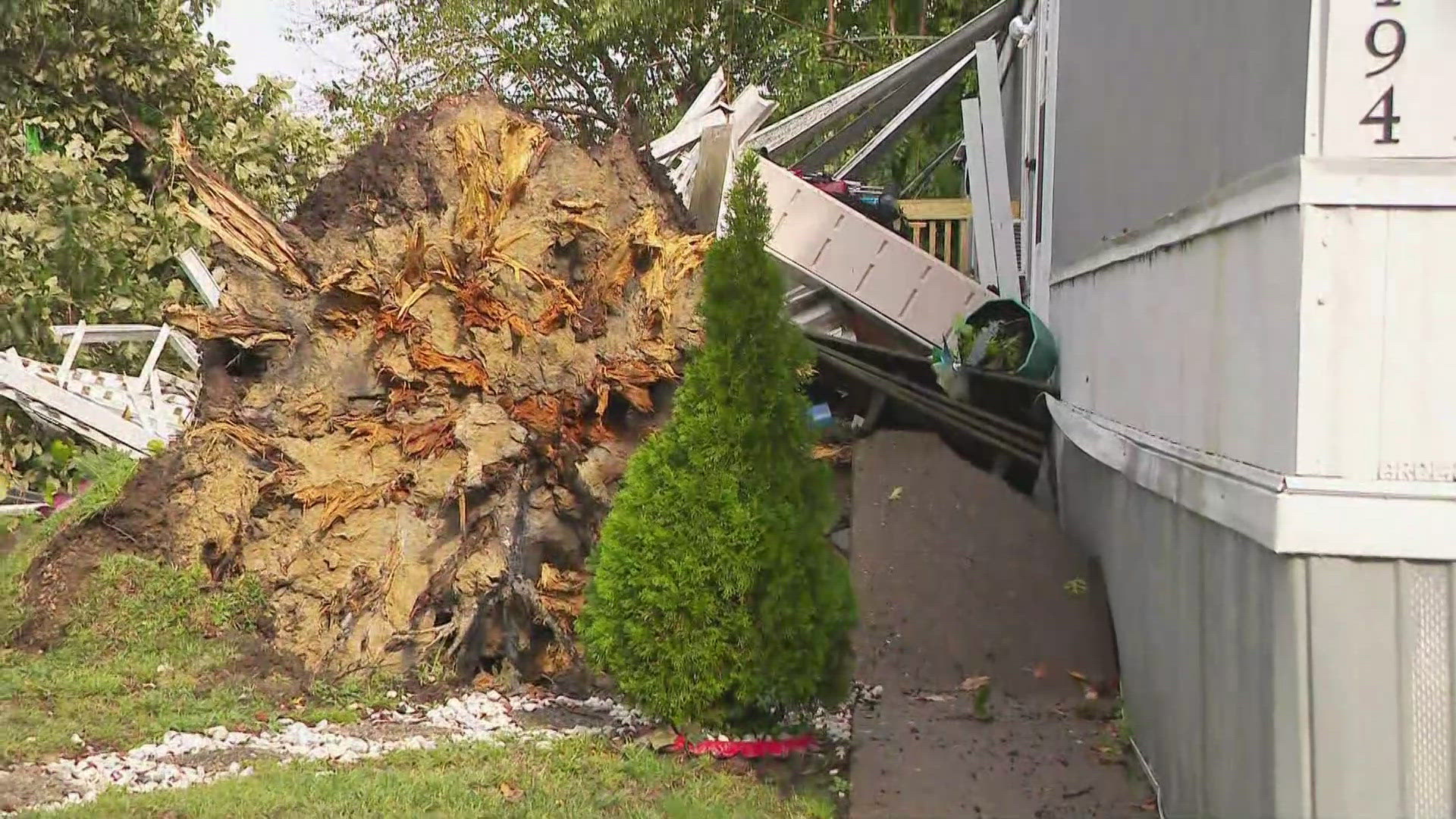 The tree fell in the Silver Lakes Point Mobile Home Community in Clark County, Indiana.