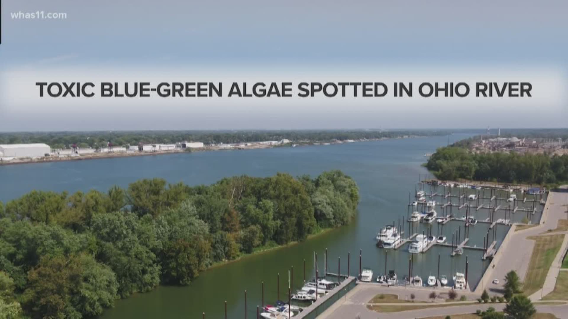 Harmful algal blooms in Ohio River
