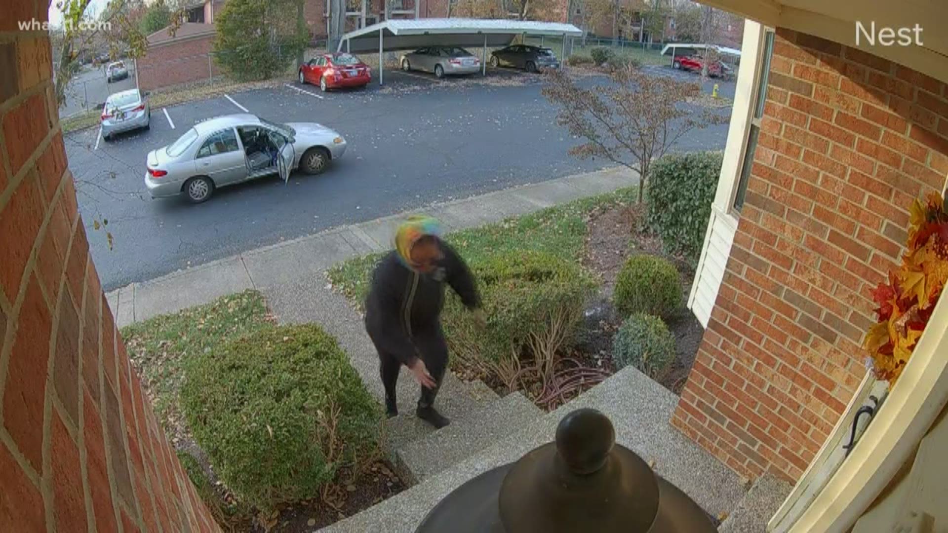 The thief was caught on video on November 14 at a home on Sycamore Drive.