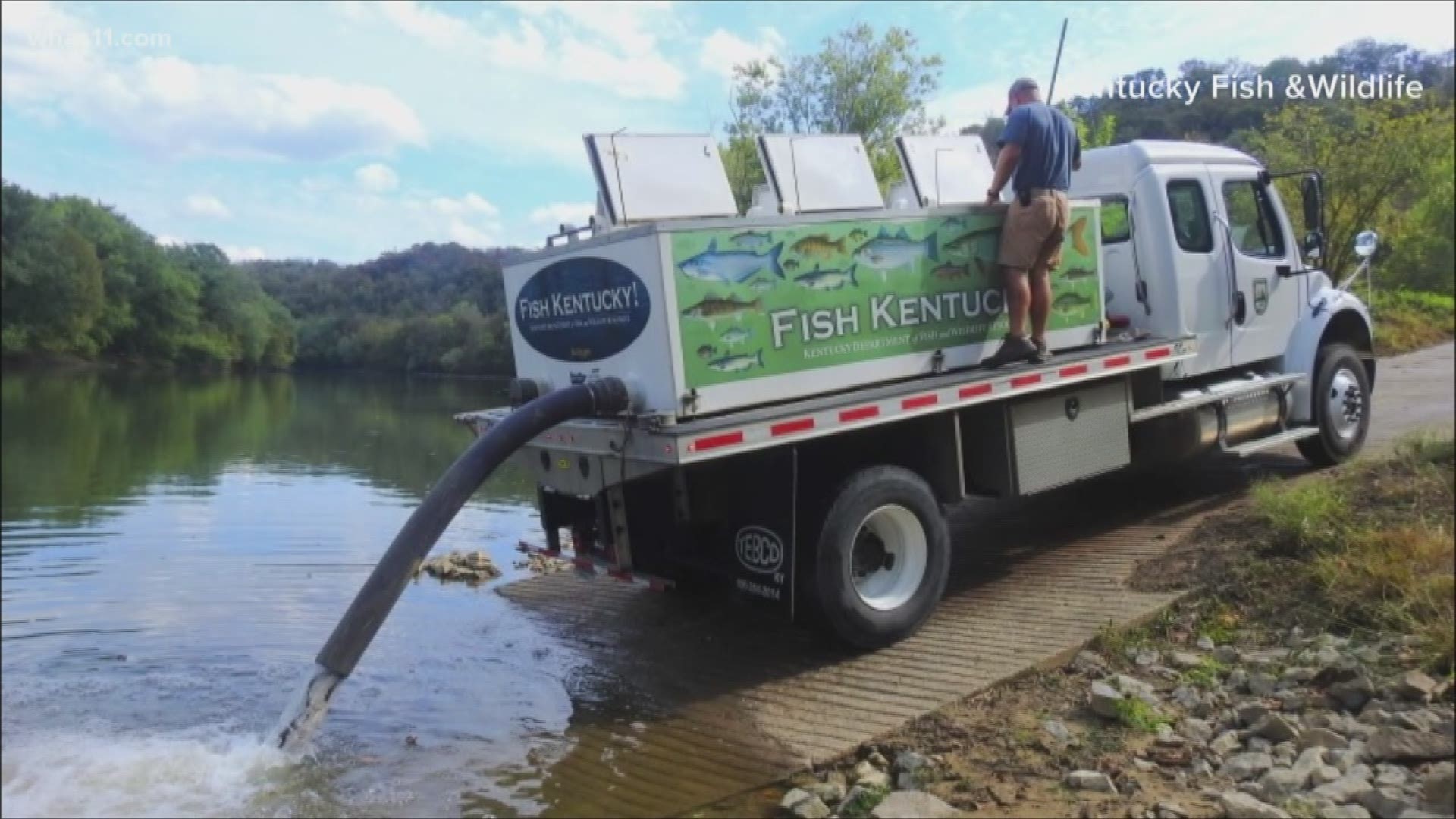 The Kentucky Department of Fish and Wildlife says catfishing is popular in the Kentucky River -- but populations are low right now so they're thankful for the donati