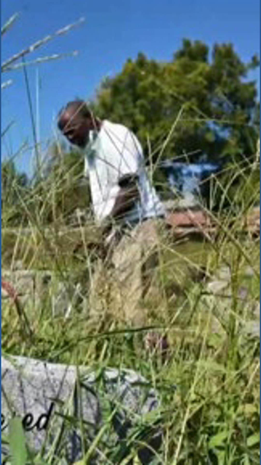 Whas11 Weather Louisville cemetery to close after 13 citations and complaints over ...