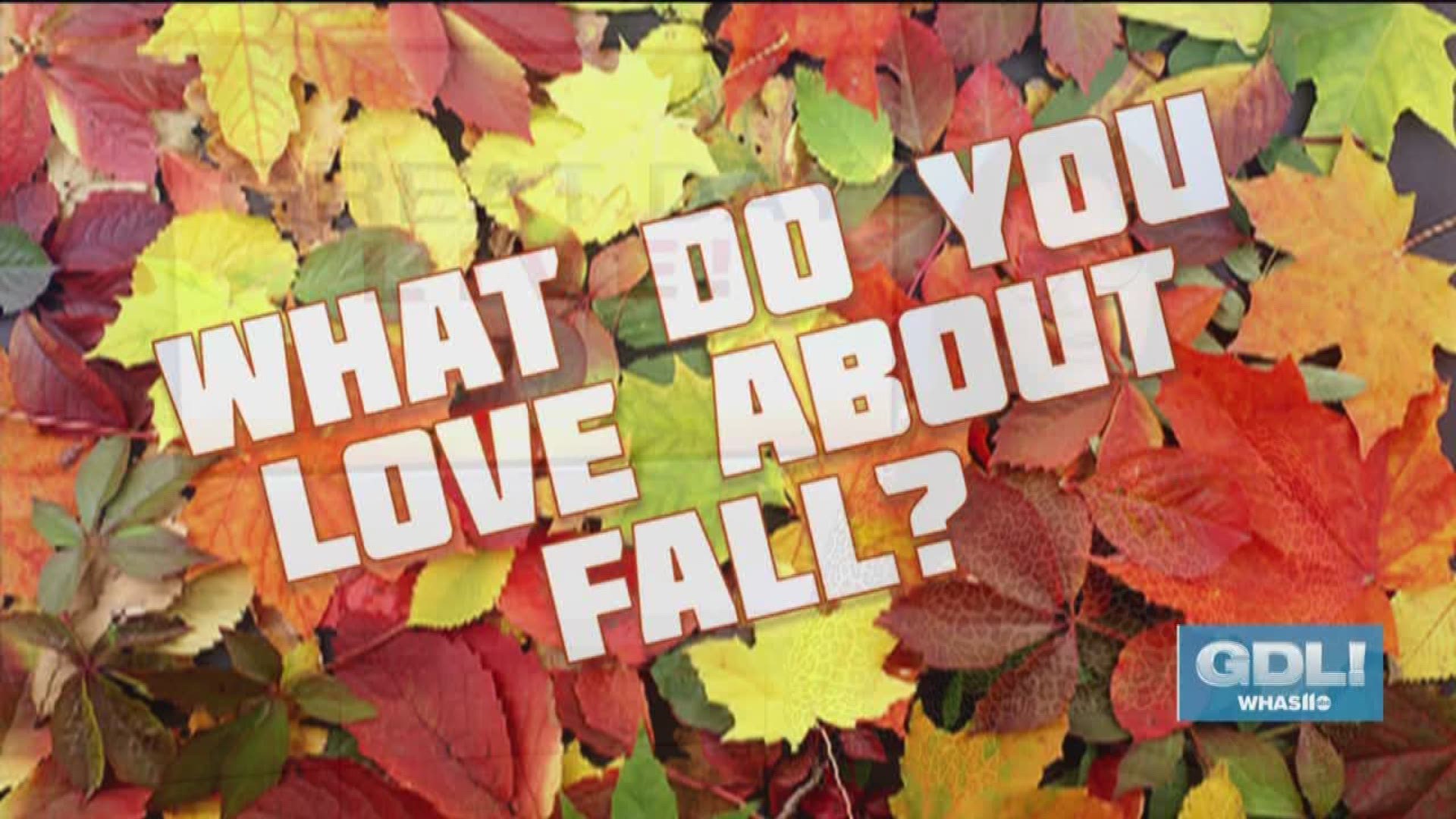 We asked people to tell us what they love about fall and here’s what they said!
