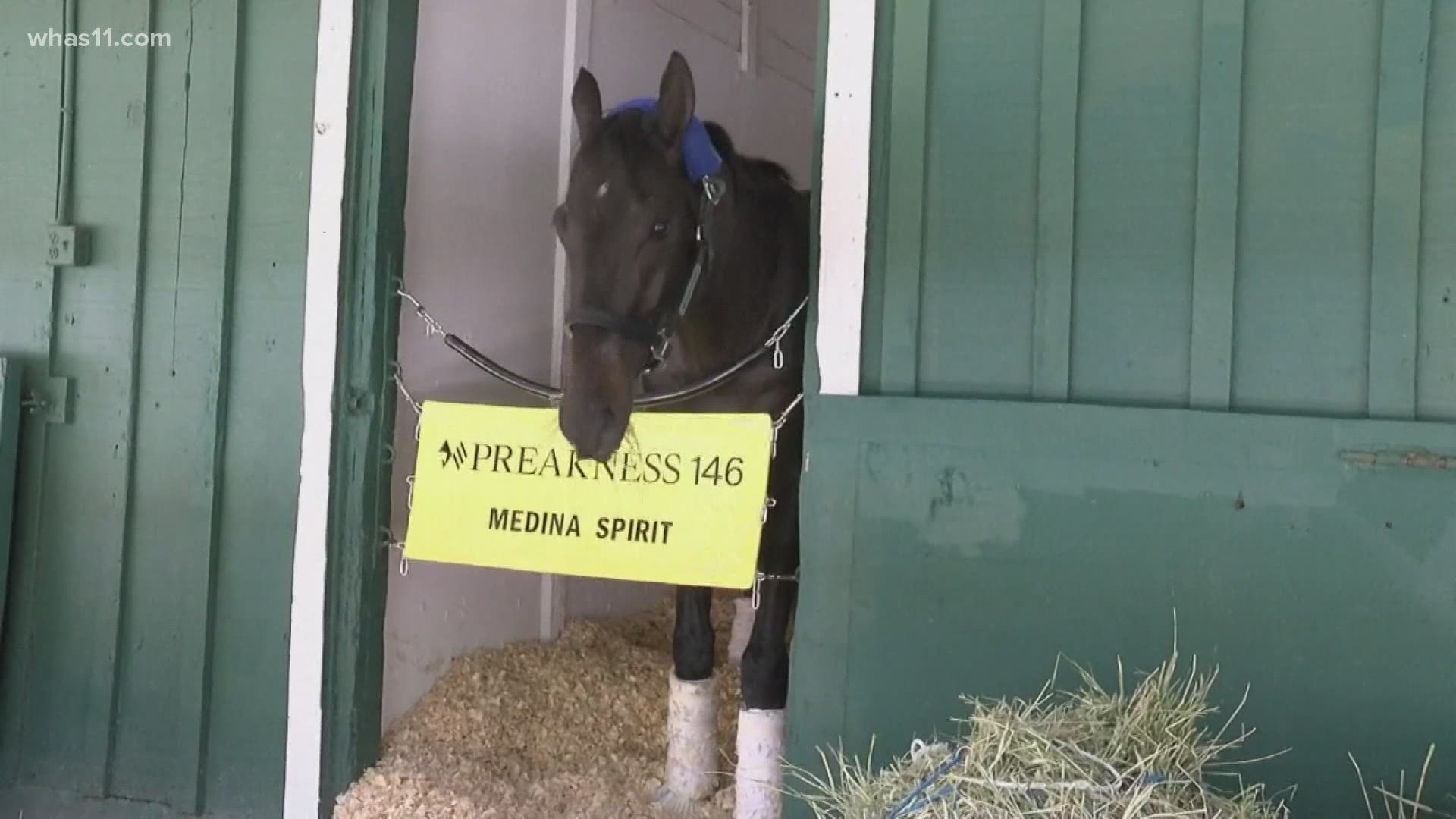 Medina Spirit has passed three rounds of prerace drug testing and been cleared to run in the Preakness on Saturday.