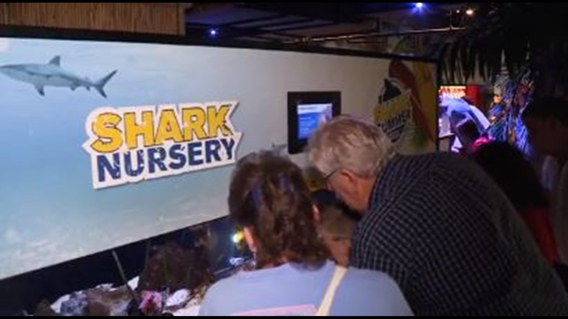 The Newport Aquarium is now home to a new baby shark, on exhibit for the first time now during Shark Summer. Newport Aquarium is located at 1 Levee Way in Newport, KY. For more information, call 1-800-406-3473 or go to NewportAquarium.com.