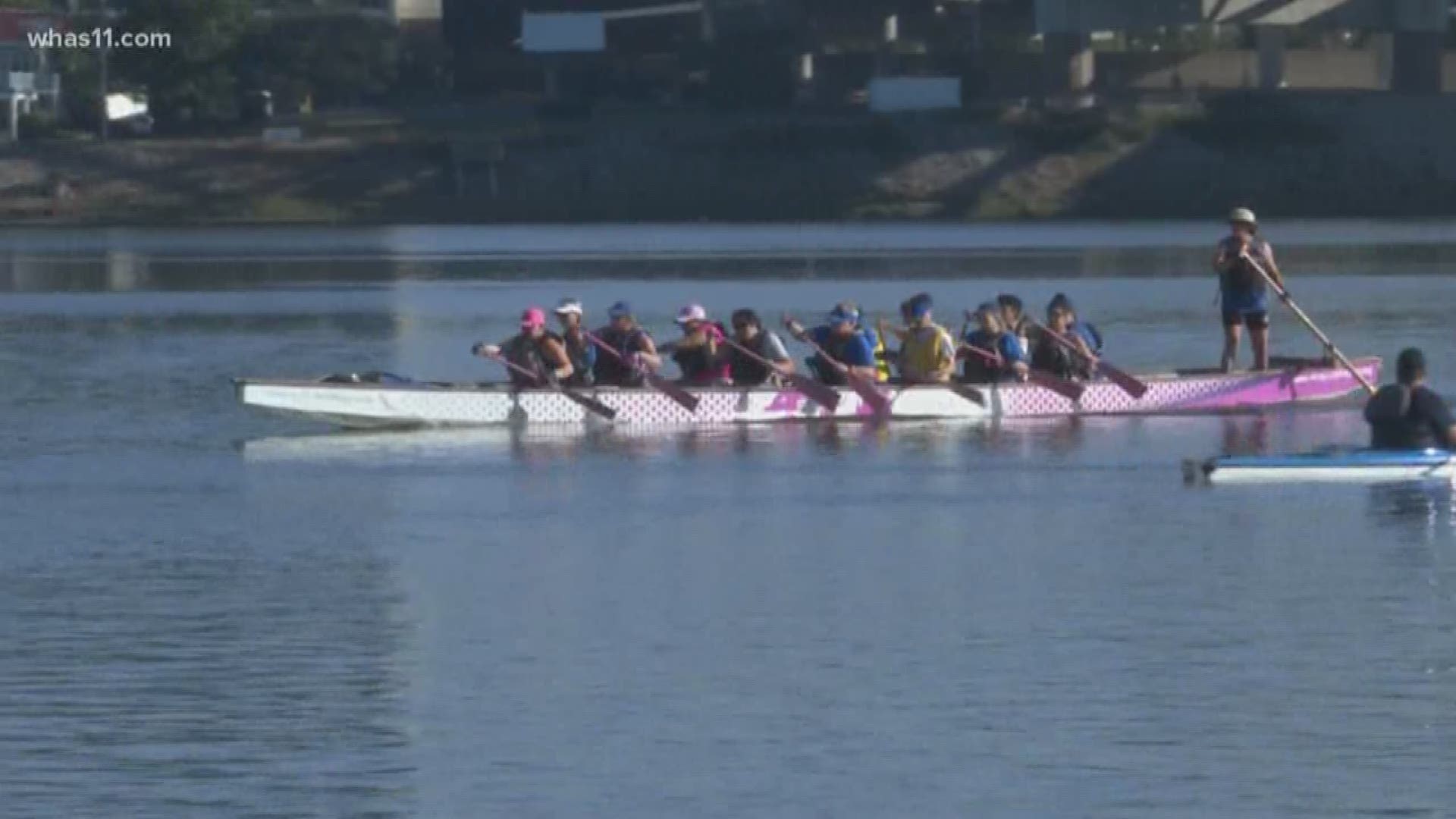 The Derby City Dragons will take part in the 2018 "Paddling for the Pink' Dragon Boat Festval at Campbell County Lake in northern Kentucky on September 8th, which raises money for breast cancer awareness and brings other teams with similar experiences tog