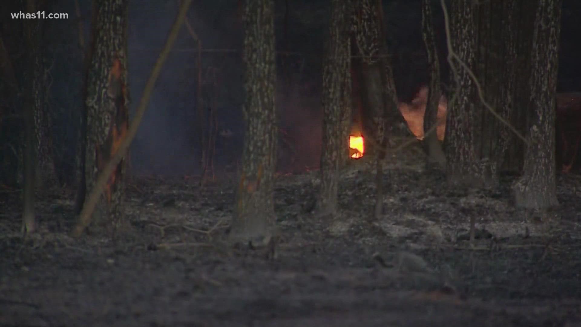 Fires have burned more than 120,000 acres across north Texas, in a matter of weeks.