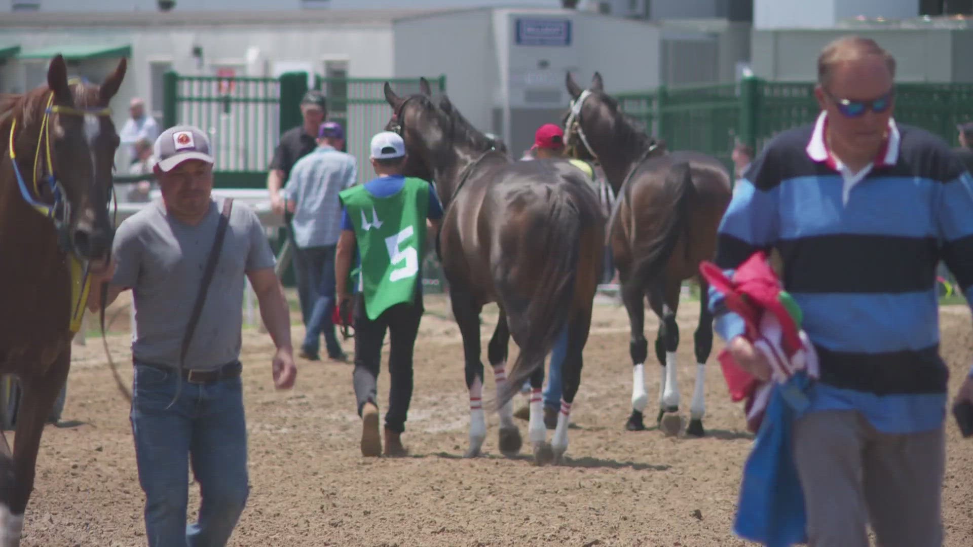 There are three main measures that will start immediately at the track.