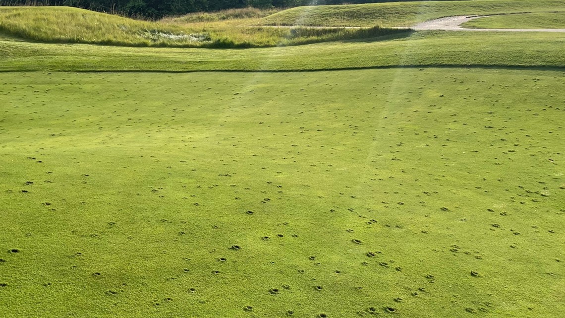 French Lick resort, golf course battered by large hail