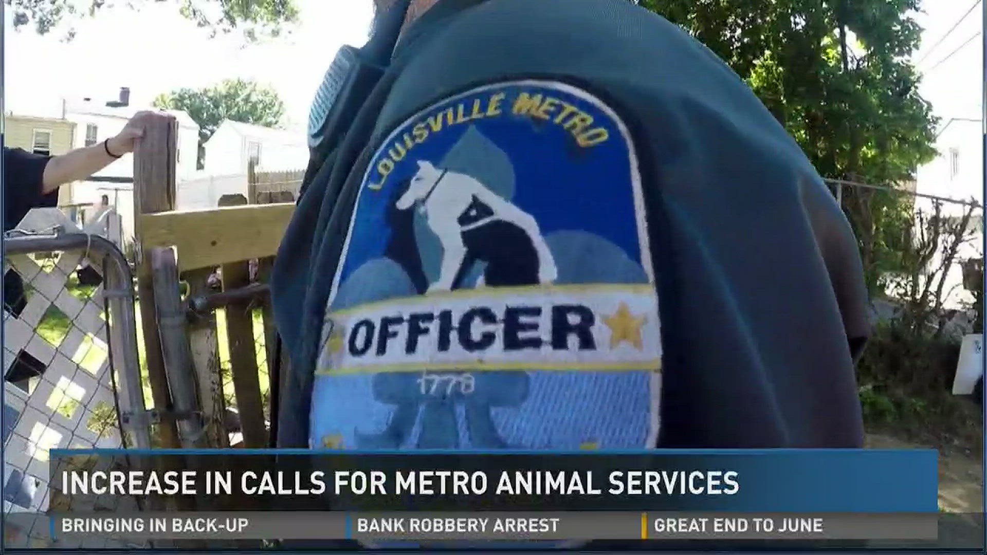 Louisville Metro Animal Services says it is 'over capacity