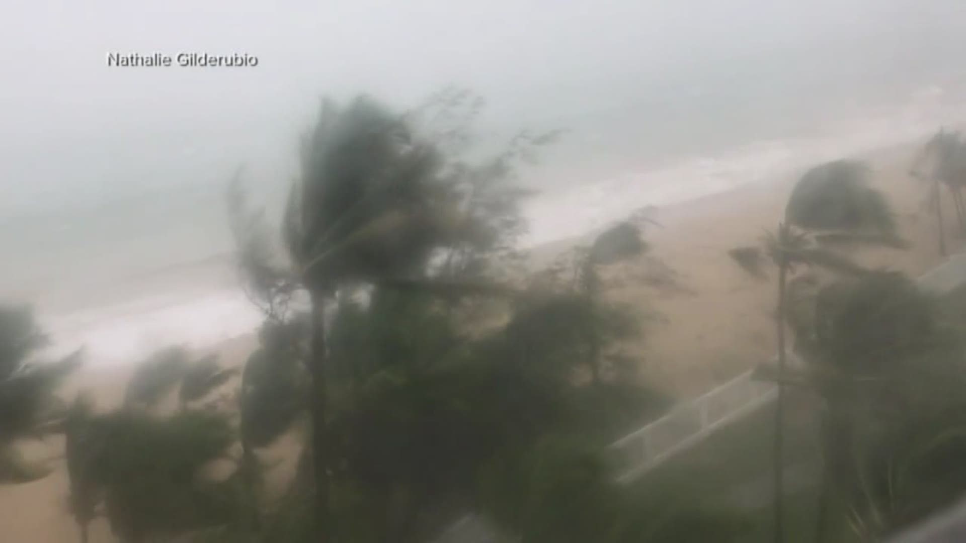 Hurricane Irma strikes
