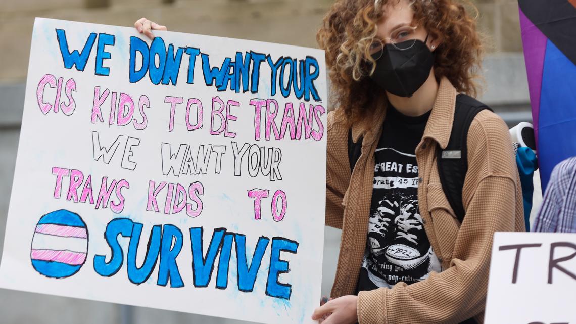Kit's Controller Corner: Bridget — The fight for positive trans  representation from cis creators - The Student Life