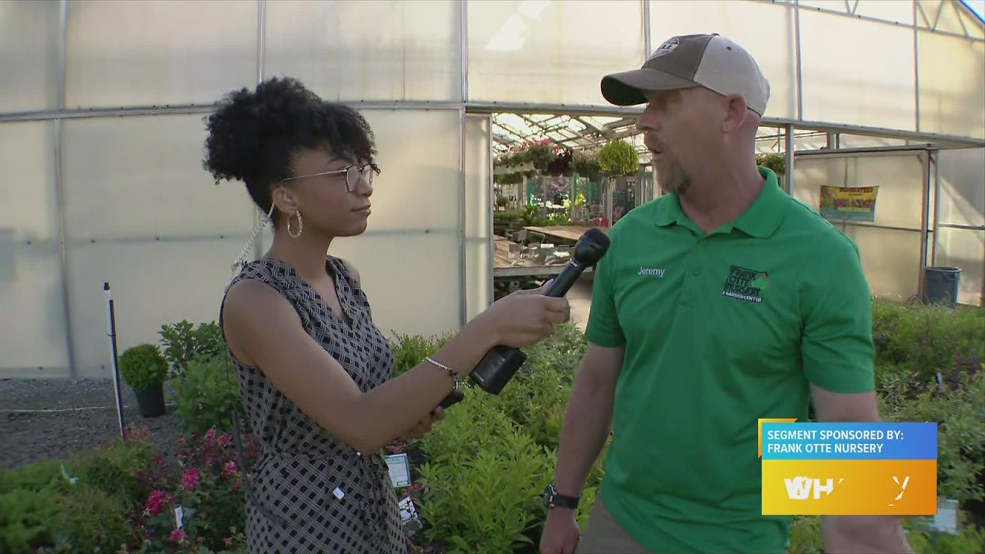 Frank Otte Nursery & Garden Center talks memorial day sale, indoor plants and more!