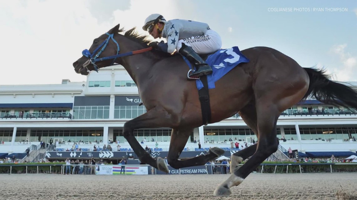 Horse trainers, owners comment ahead of Preakness