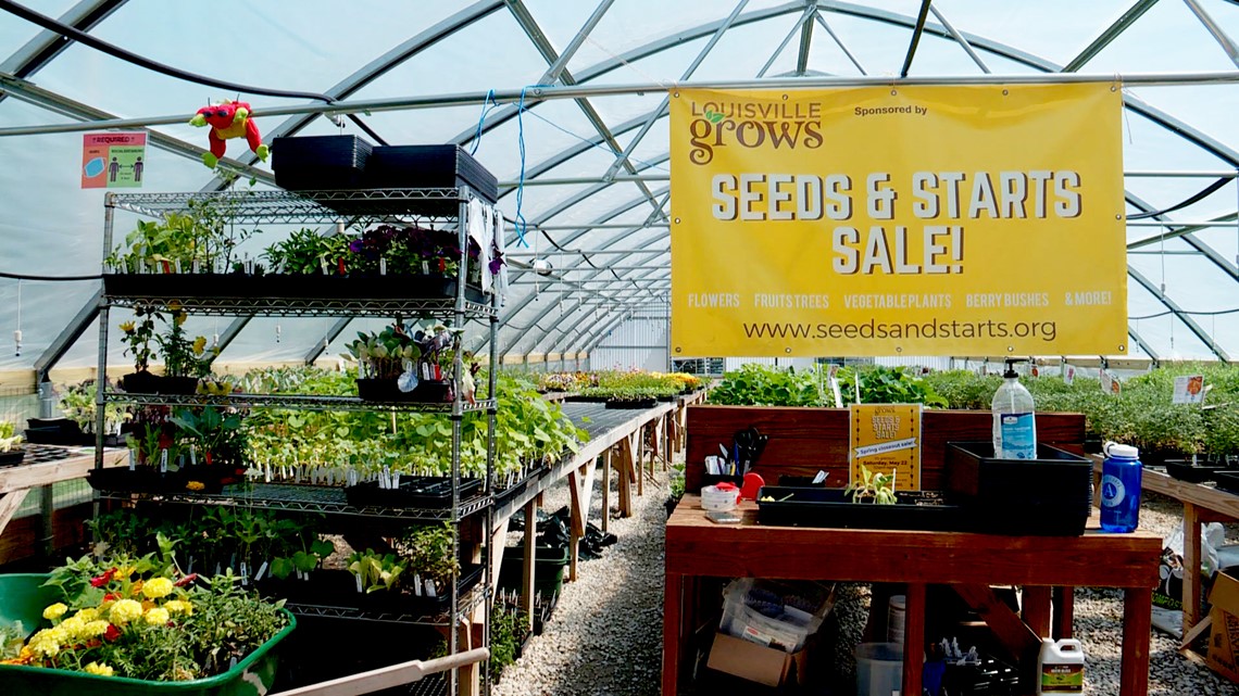 Louisville Grows greenhouse broken into twice in one week | whas11.com