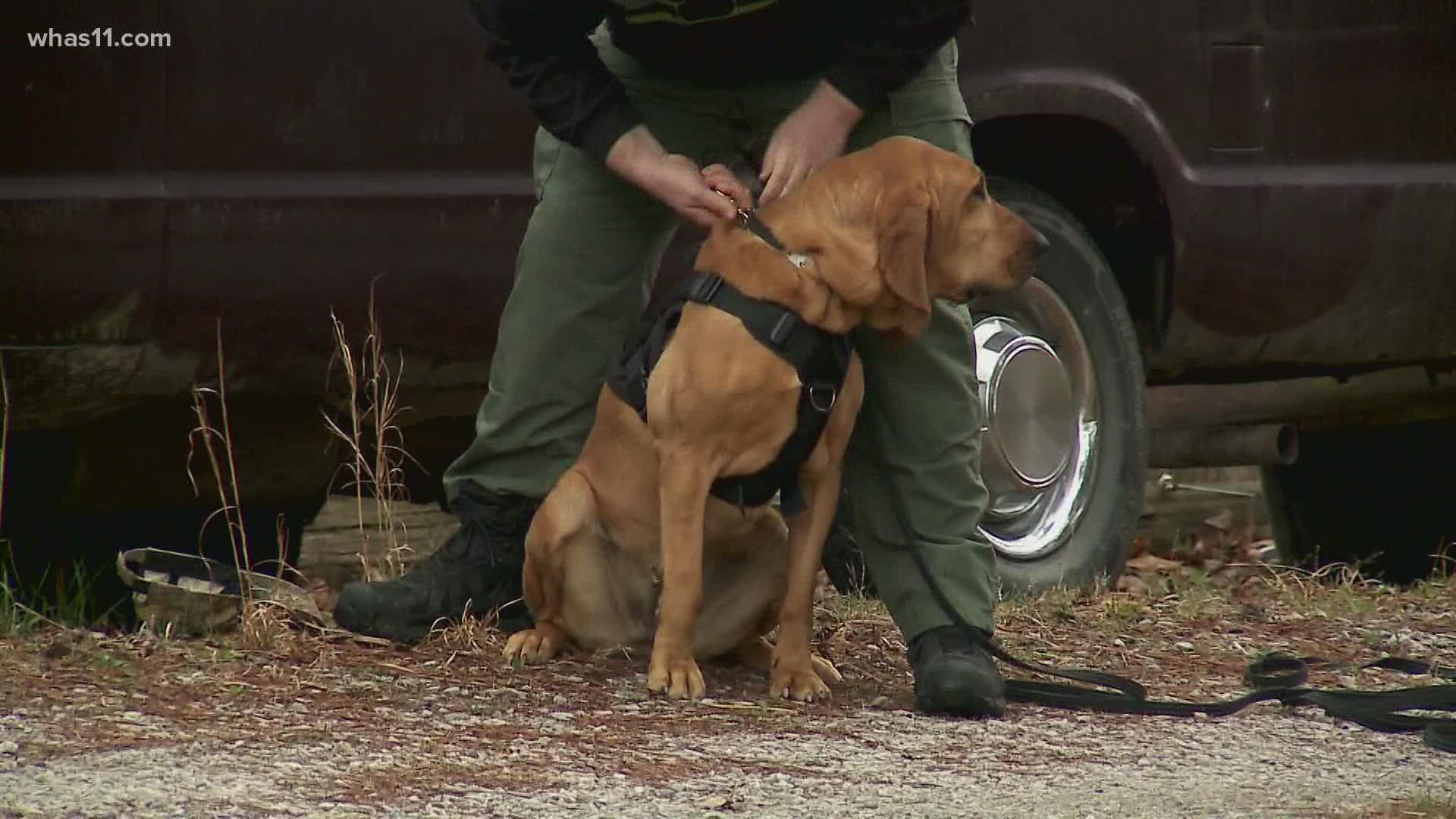 Dogs and handlers come to Grayson County, Kentucky each year for a training session to help them solve high-profile crimes.