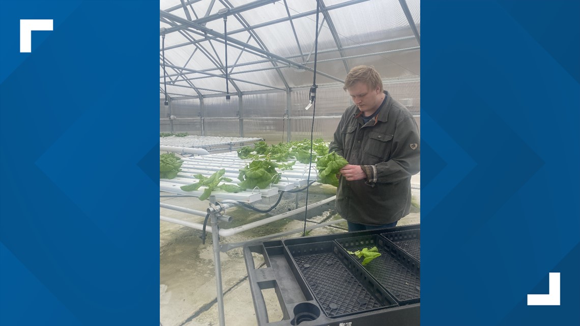Kentucky high school senior operates hydroponic greenhouse - Vimarsana News