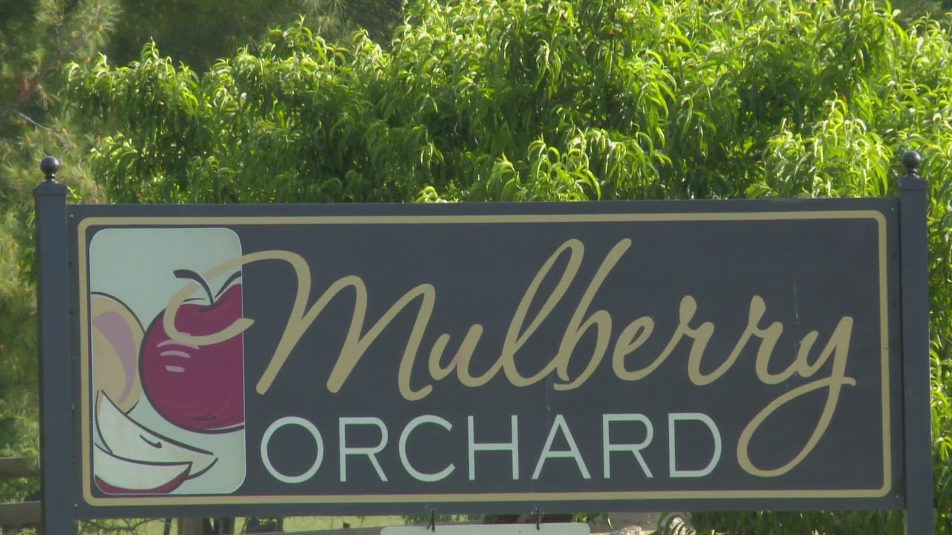 Mulberry Orchard is opening for its 13th season.