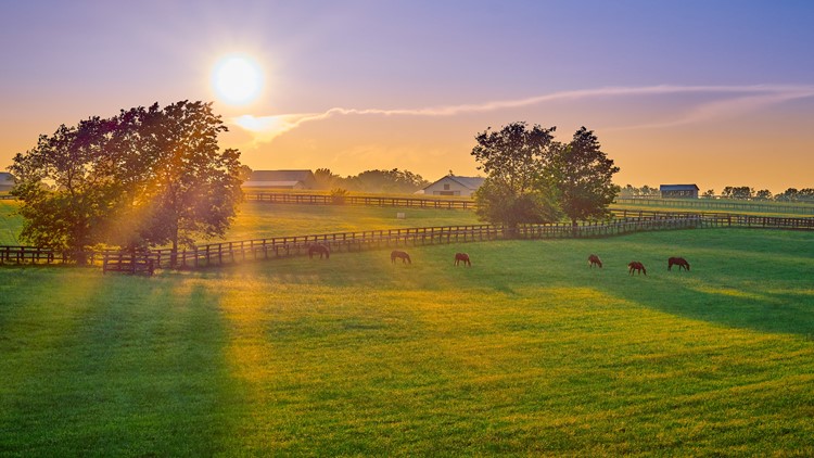 Kentucky ranked among top ten most polite states in the US | whas11.com