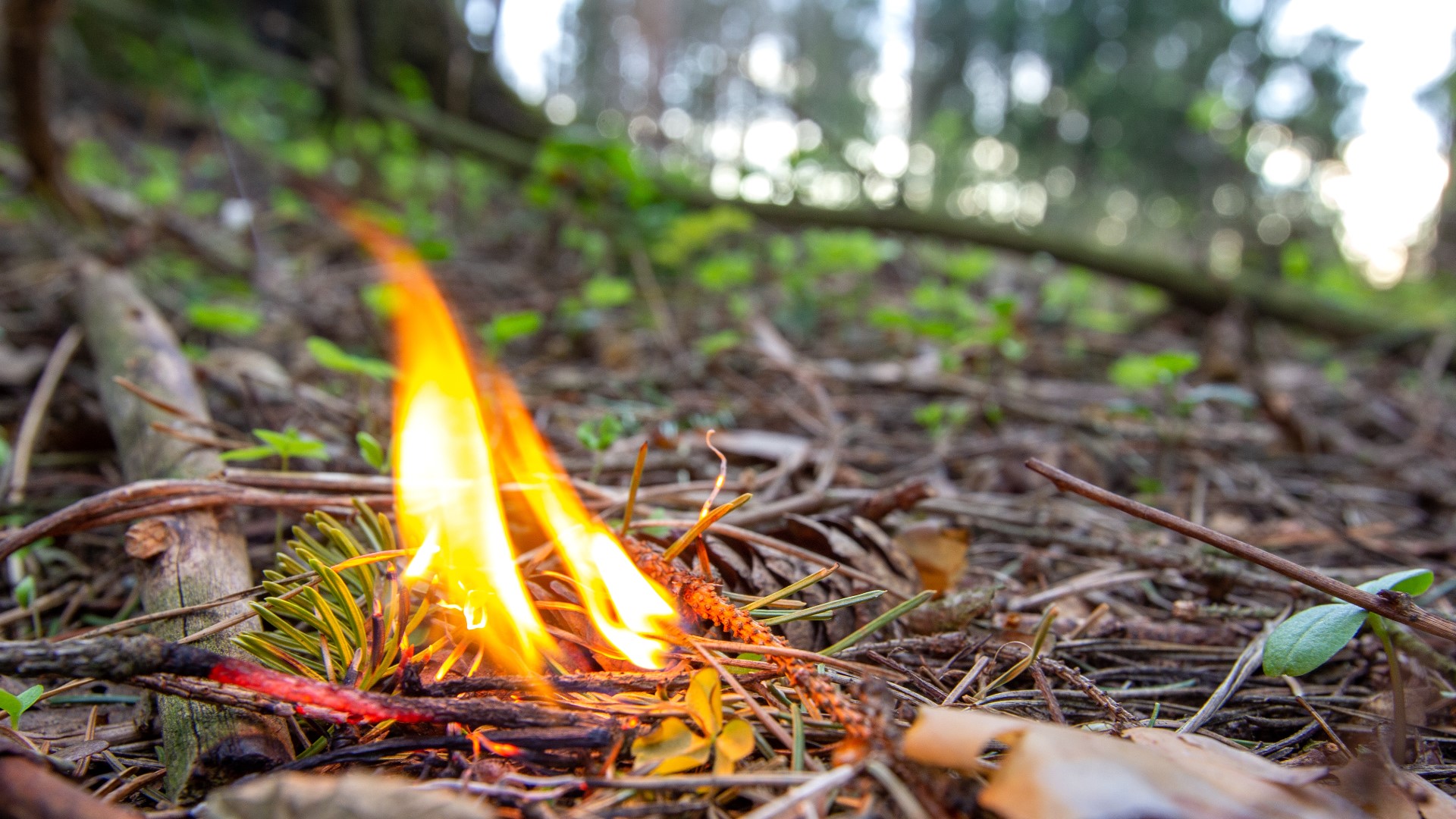 Kentucky to get new burn restrictions near woodlands