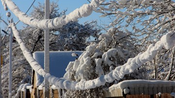 Snow in the forecast: Here's what you should do before, during and after a winter storm
