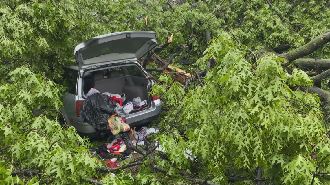 Gusty winds cause downed trees in west Louisville