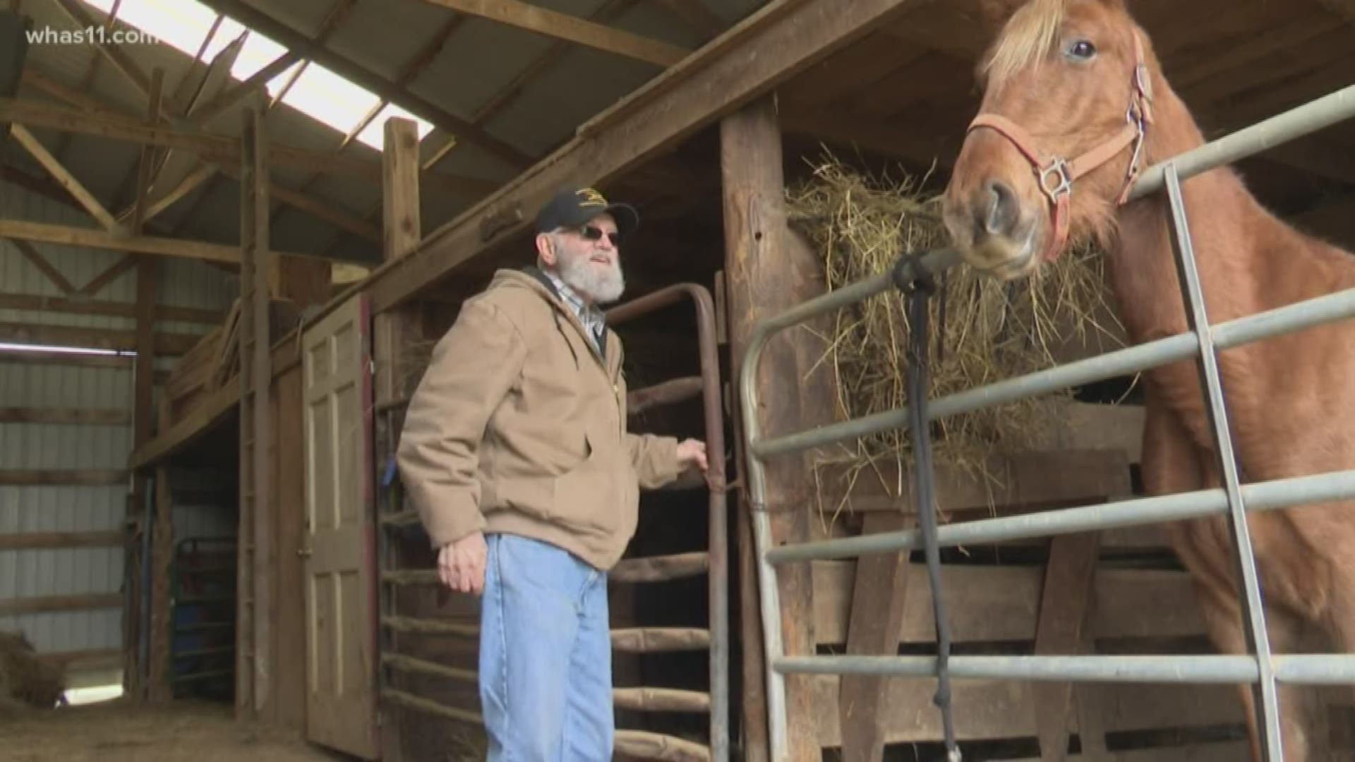 Two people have been arrested and charged with shooting two horses in Hardin County. Investigators say one horse died.