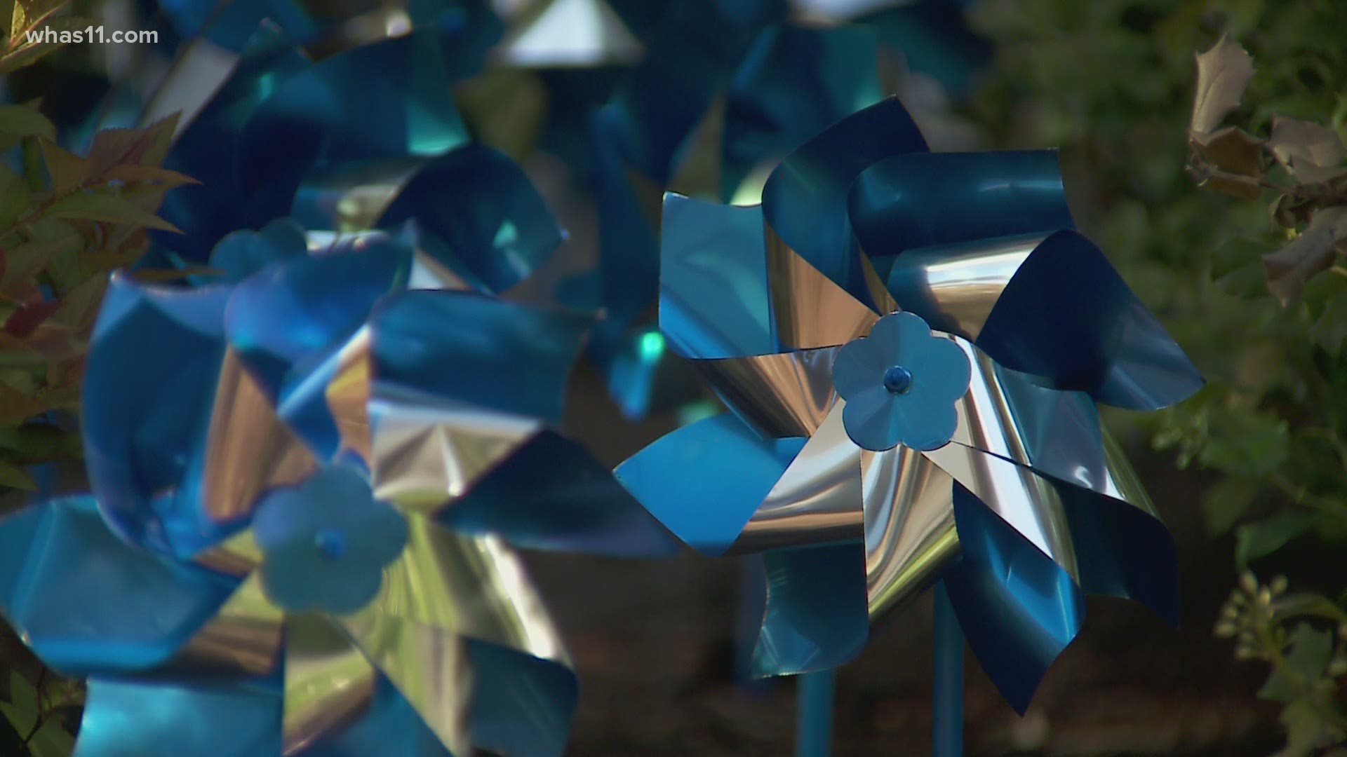 Dr. Jenny Green said the pinwheels represent a child's joy and innocence. This month the hospital plans to educate the public on child abuse warning signs.