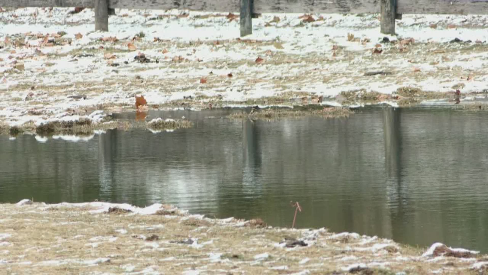 A woman driving by a freezing pond in Floyd County, Indiana saves a man after his car goes off the road.