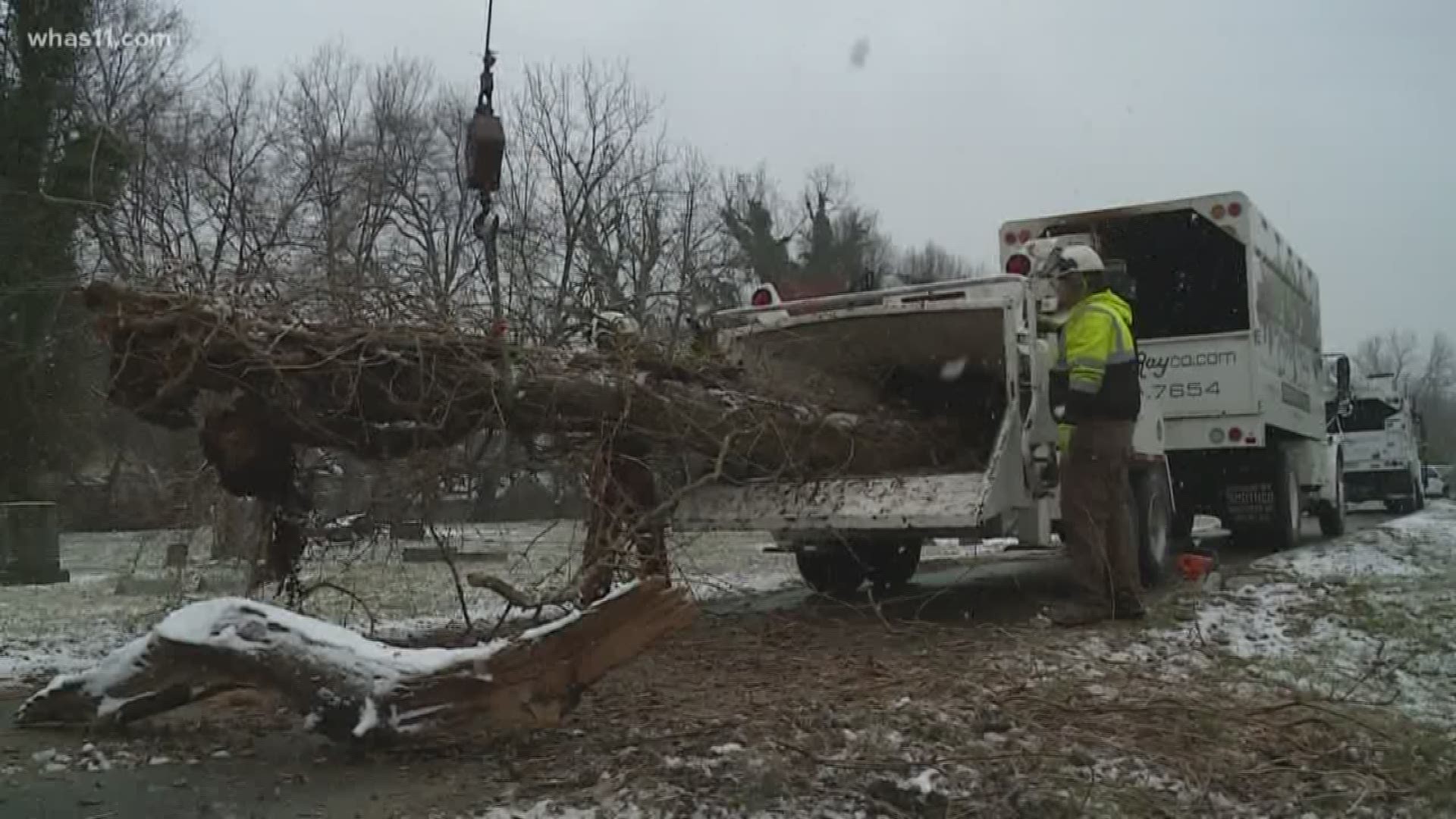 As snow fell, TreesLouisville and volunteers from Bob Ray Co. worked to revitalize the historic Greenwood Cemetery with the National Association of Black Veterans.