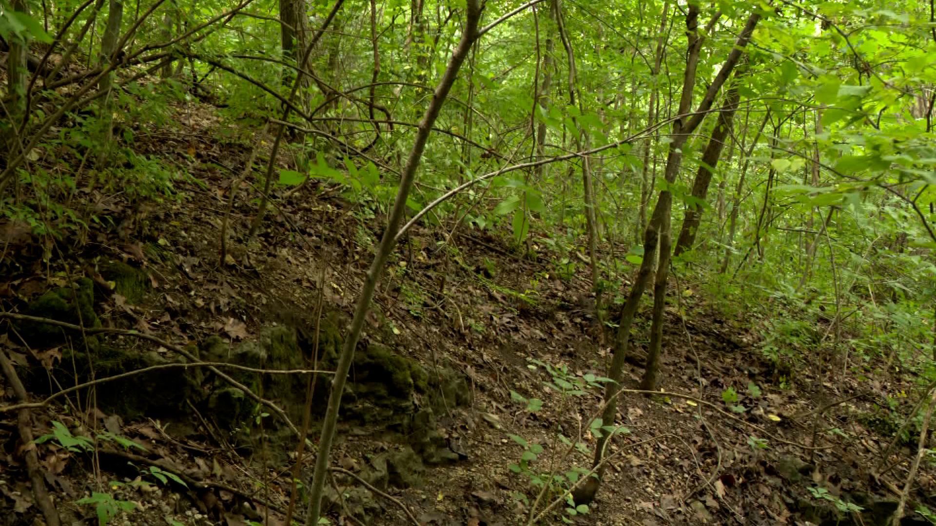 13-year-old pulled from bottom of ravine after going missing in ...