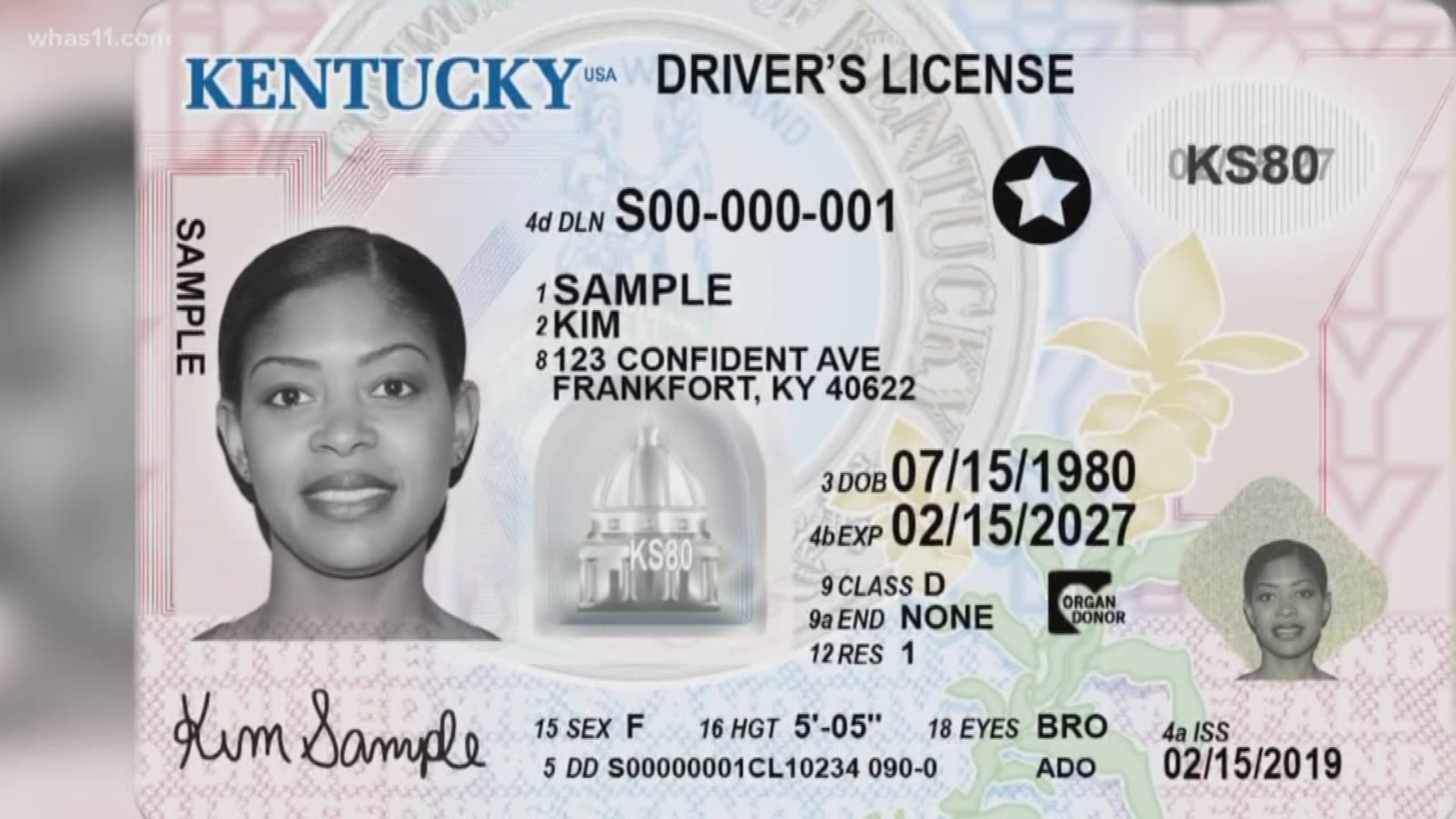 There are 15 Driver Licensing Regional Office in Kentucky that are accepting appointments and some walk-ins.