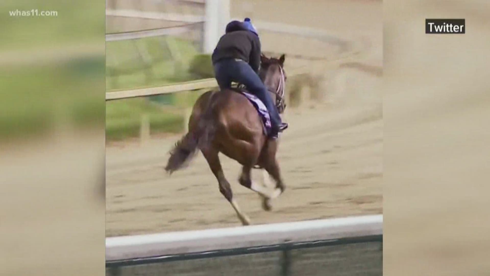 Horse dies after race at Churchill Downs