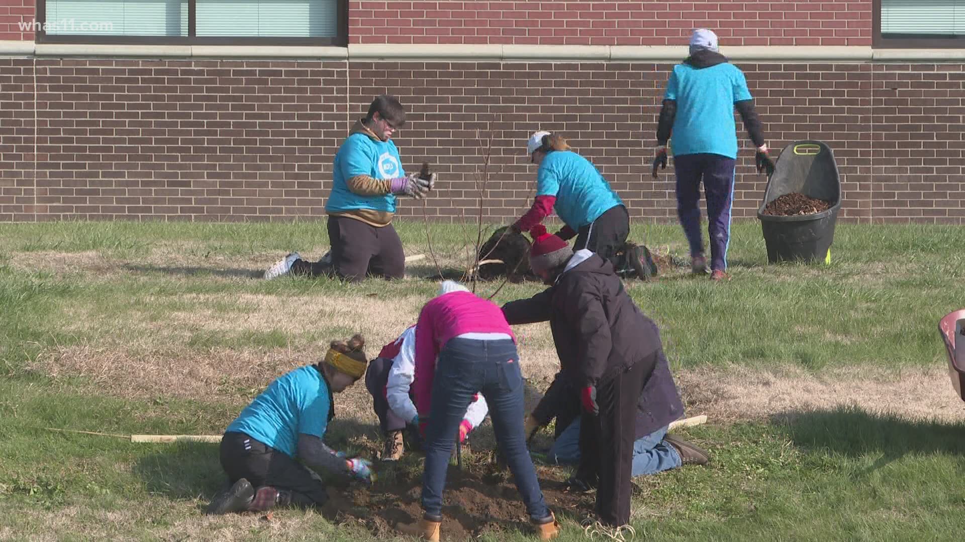A Louisville organization gives out free trees to help restore the city's tree canopy.