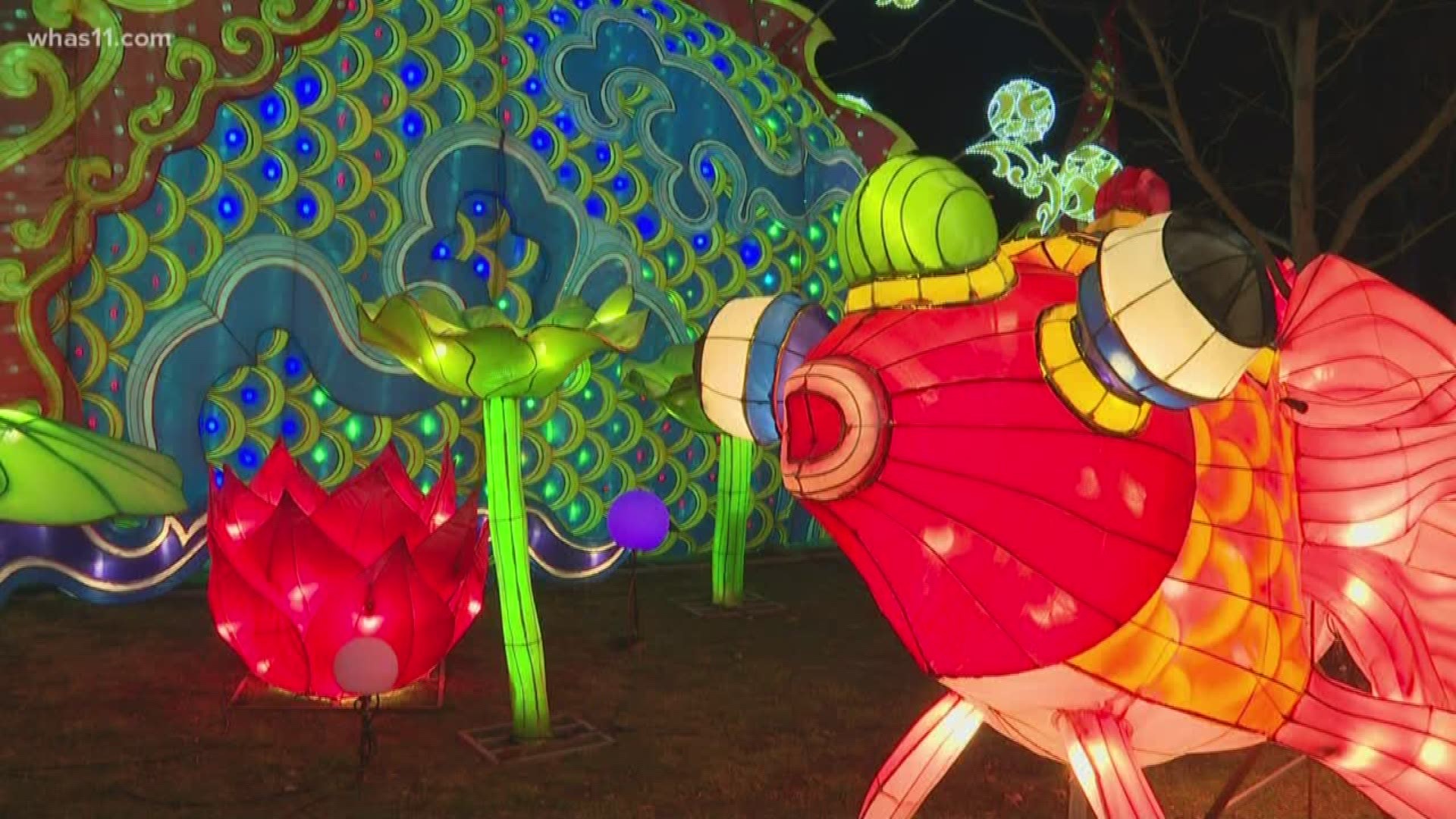 &#39;A feast for the eyes&#39; | Louisville Zoo lantern festival opens to the public | www.paulmartinsmith.com