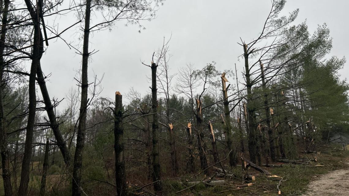 EF-1 tornado confirmed in Orange County during severe storms | whas11.com