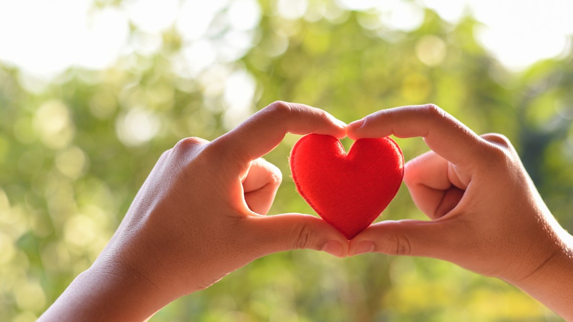 Give for Good Louisville 2023: 5 organizations to support - Vimarsana News