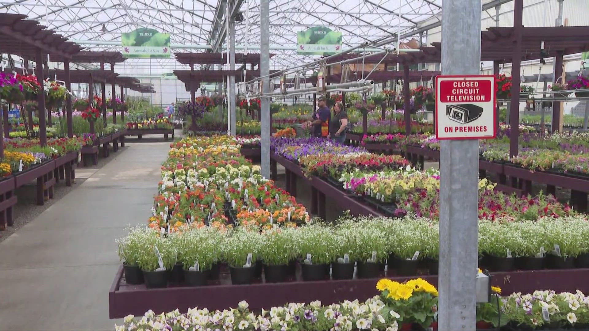 With planting season coming soon, Wallitsch Garden Center is helping the community get ready to bring in new flowers for their garden!