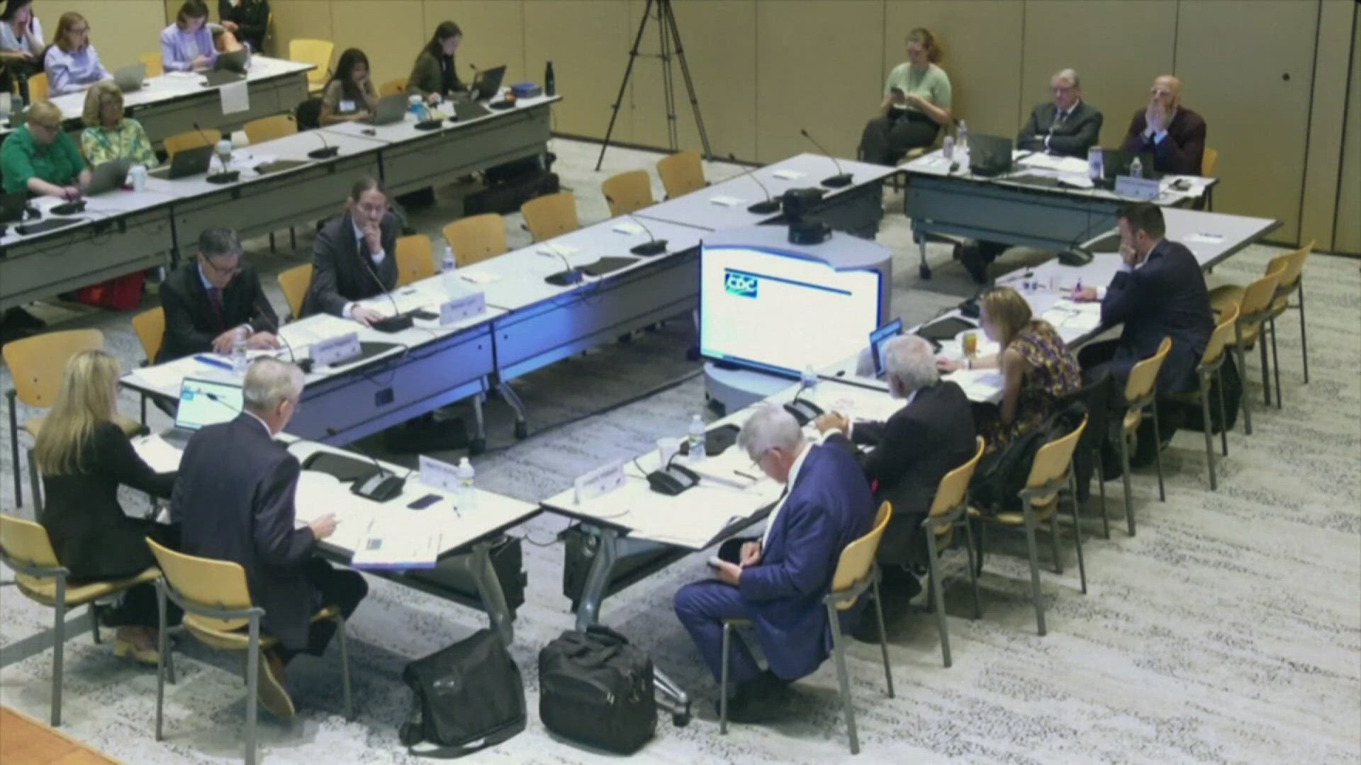The panel warned against flu vaccines that include a certain ingredient even though studies show it doesn't cause harm.