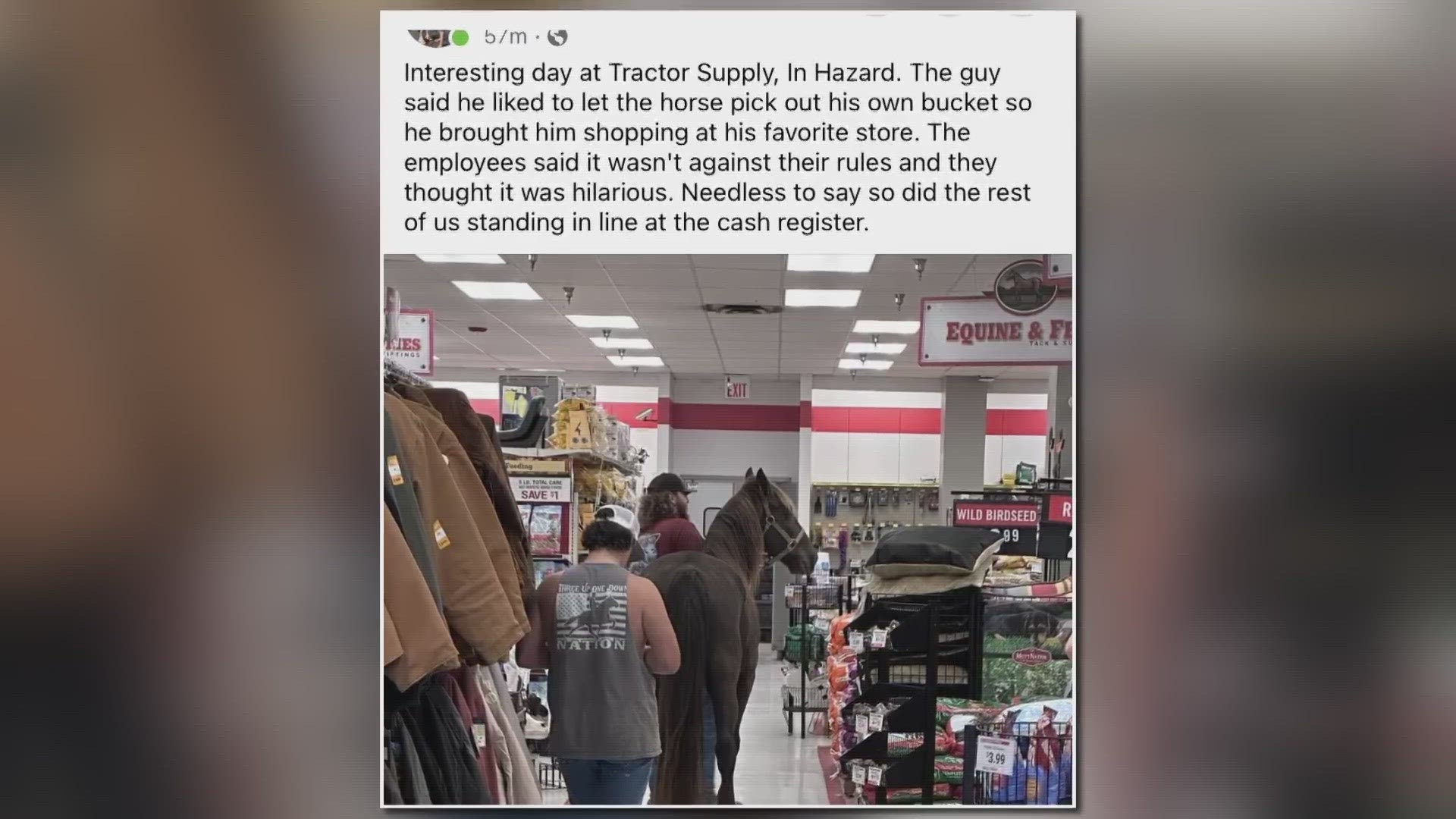 A man brought his horse into a Tractor Supply in Hazard, Kentucky to let him pick out his own bucket.