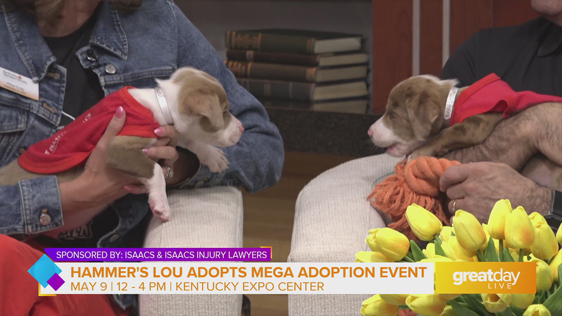 Hammer's Lou Adopts Mega Adoption Event is Back for its 4th Year ...