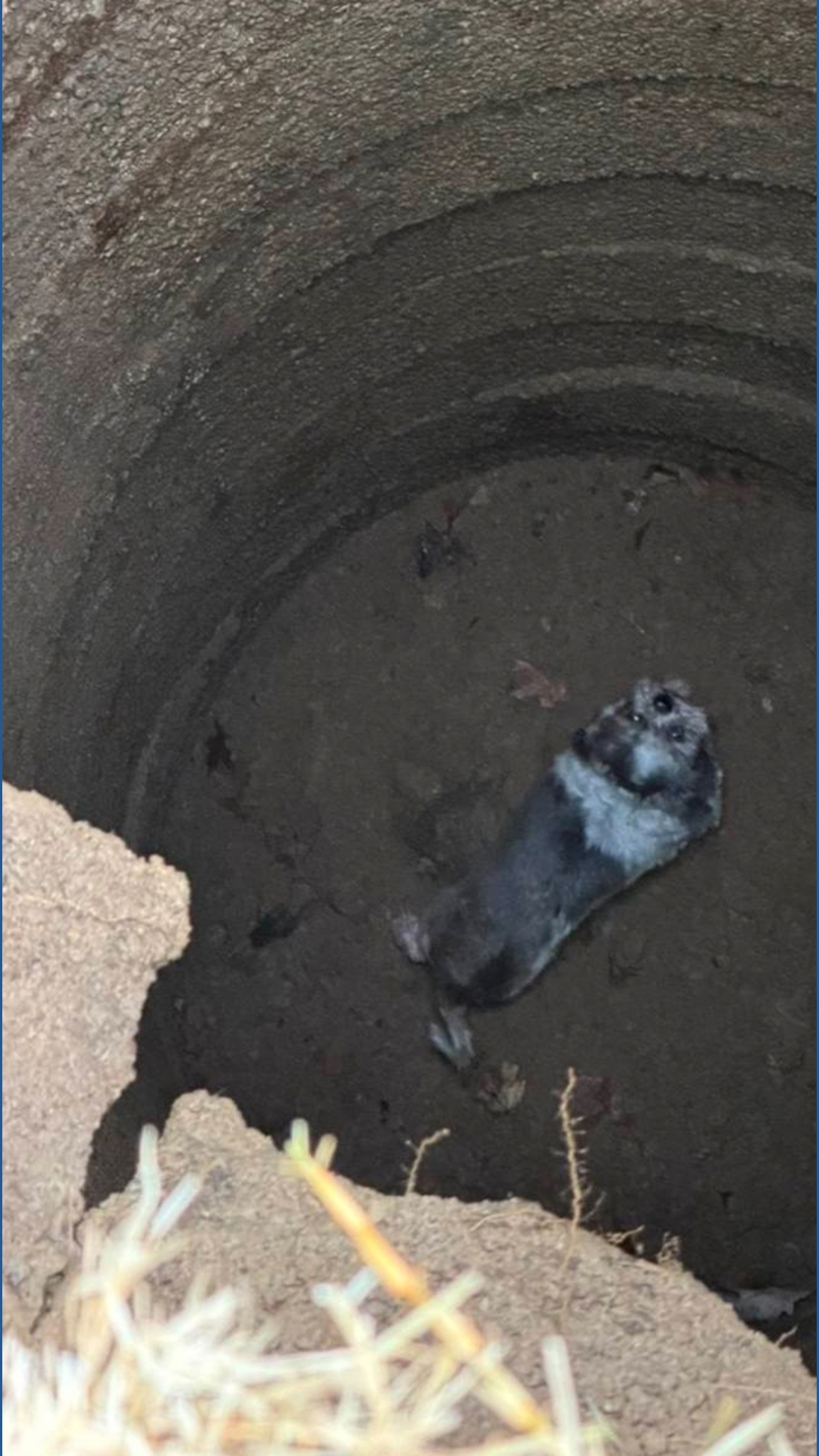 'It’s an emergency patch to fix a predictable failure,' JCPS board ...