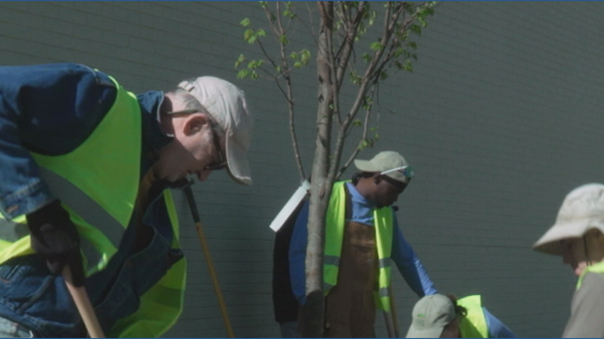 Southland Boulevard tree planting | whas11.com