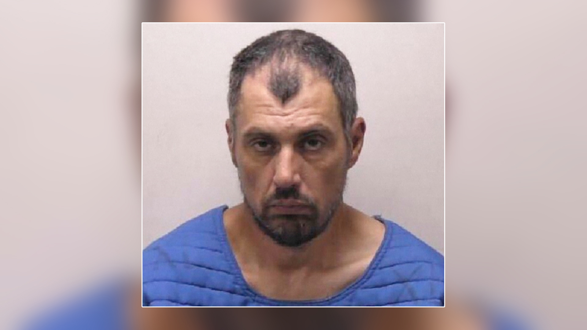 A 42-year-old man is facing charges of terrorism and assault with intent to murder after he allegedly stabbed 11 people at a Walmart store in Michigan.
