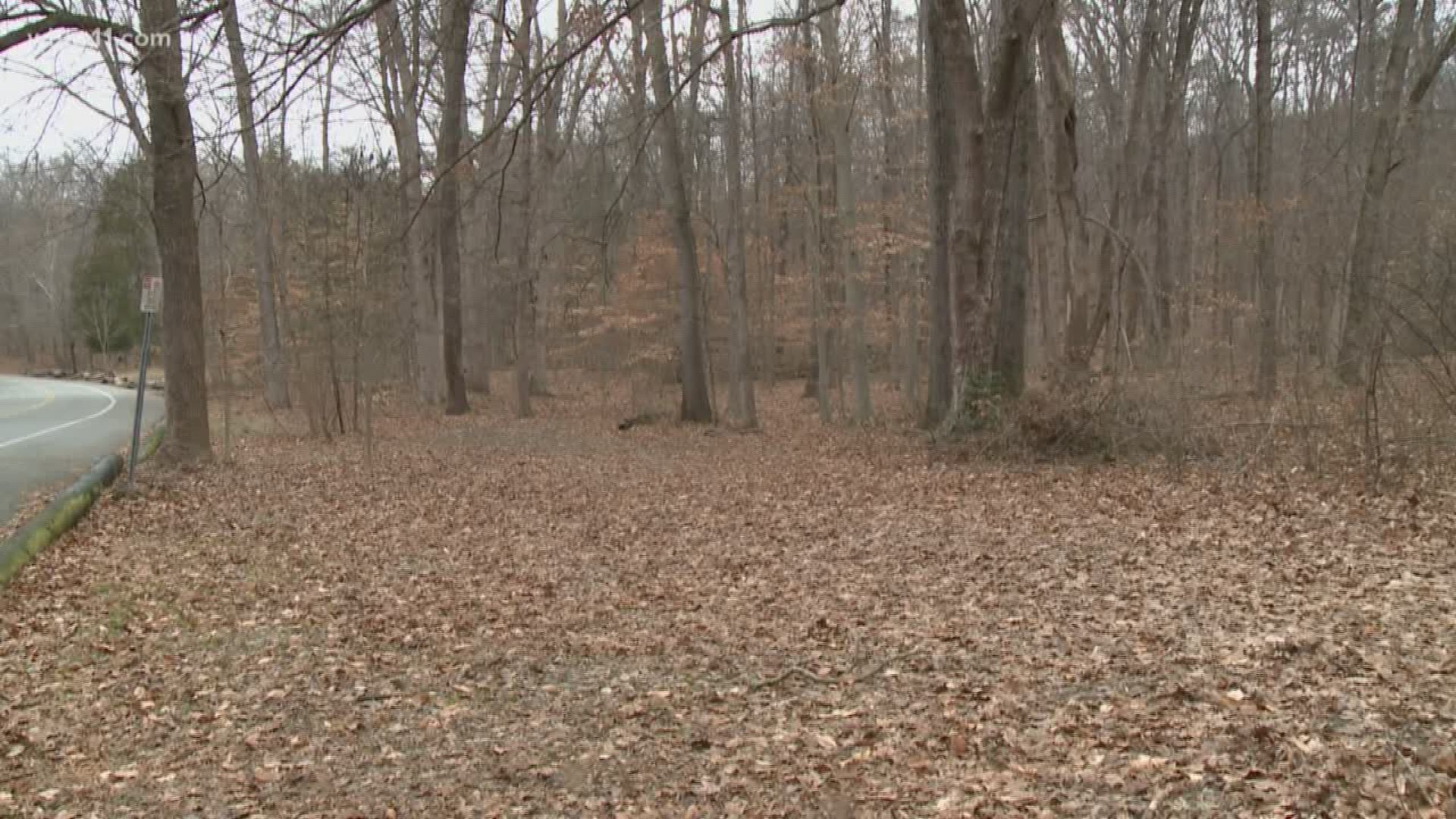 Officers were dispatched to Iroquois Park where they found part of what appears to be a partial human skull, bones.