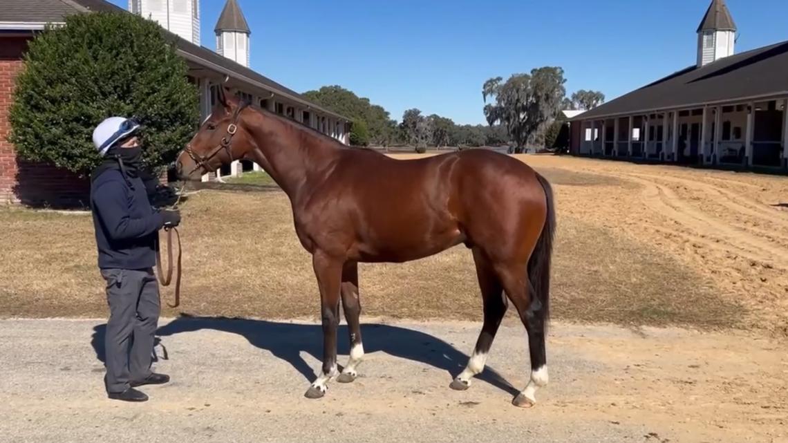 Kentucky Derby-winning trainer names horse after Louisville basketball star