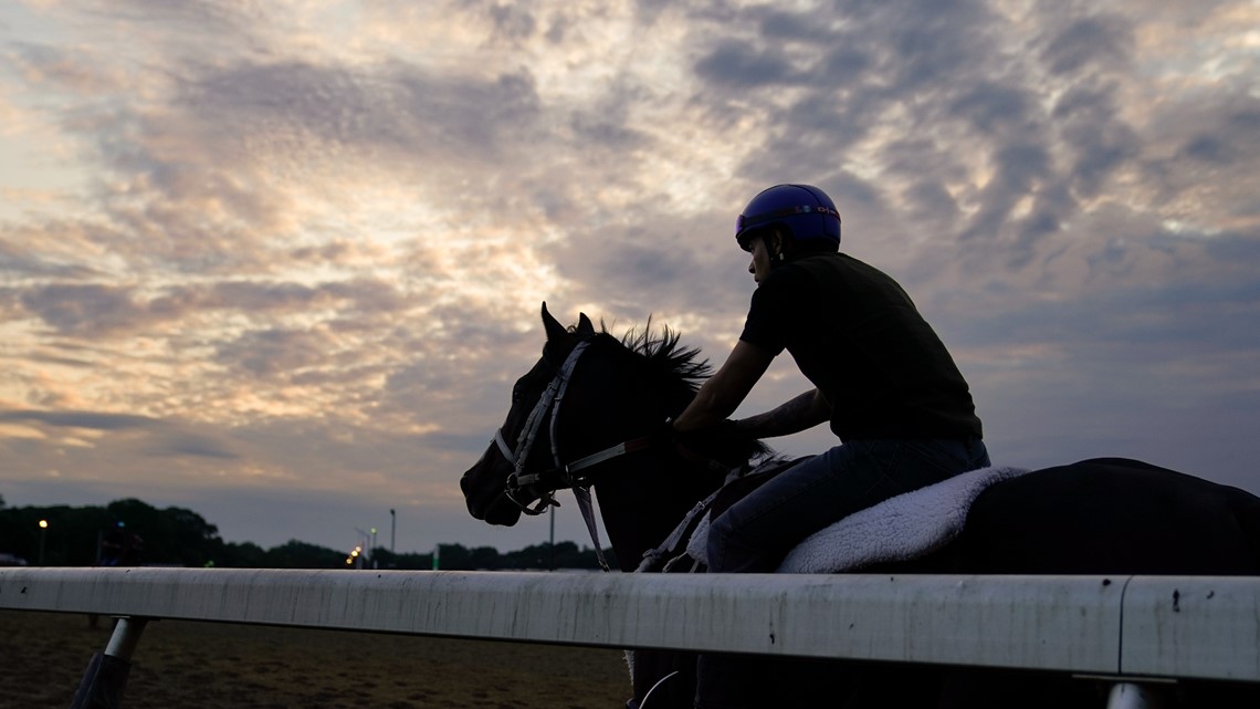 KY Oaks winner Pretty Mischievous takes Acorn Belmont | whas11.com