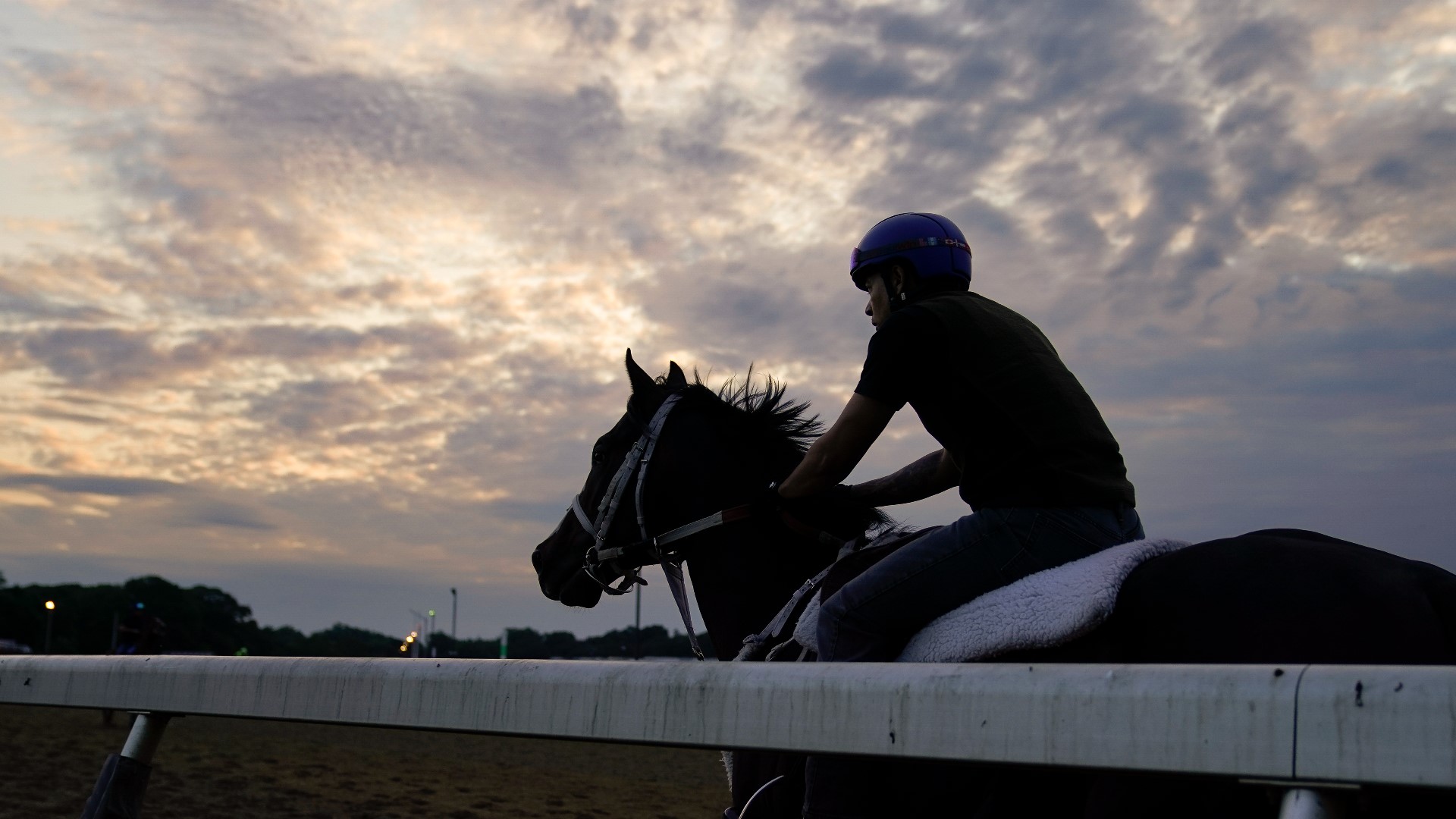 The racetrack saw 13 training and racing fatalities at the 2023 Saratoga Meet, as well as one death in a barn stall accident.